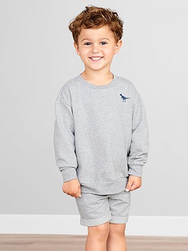 Simple Joys by Carter's boys 4-piece Sweatshirt Set