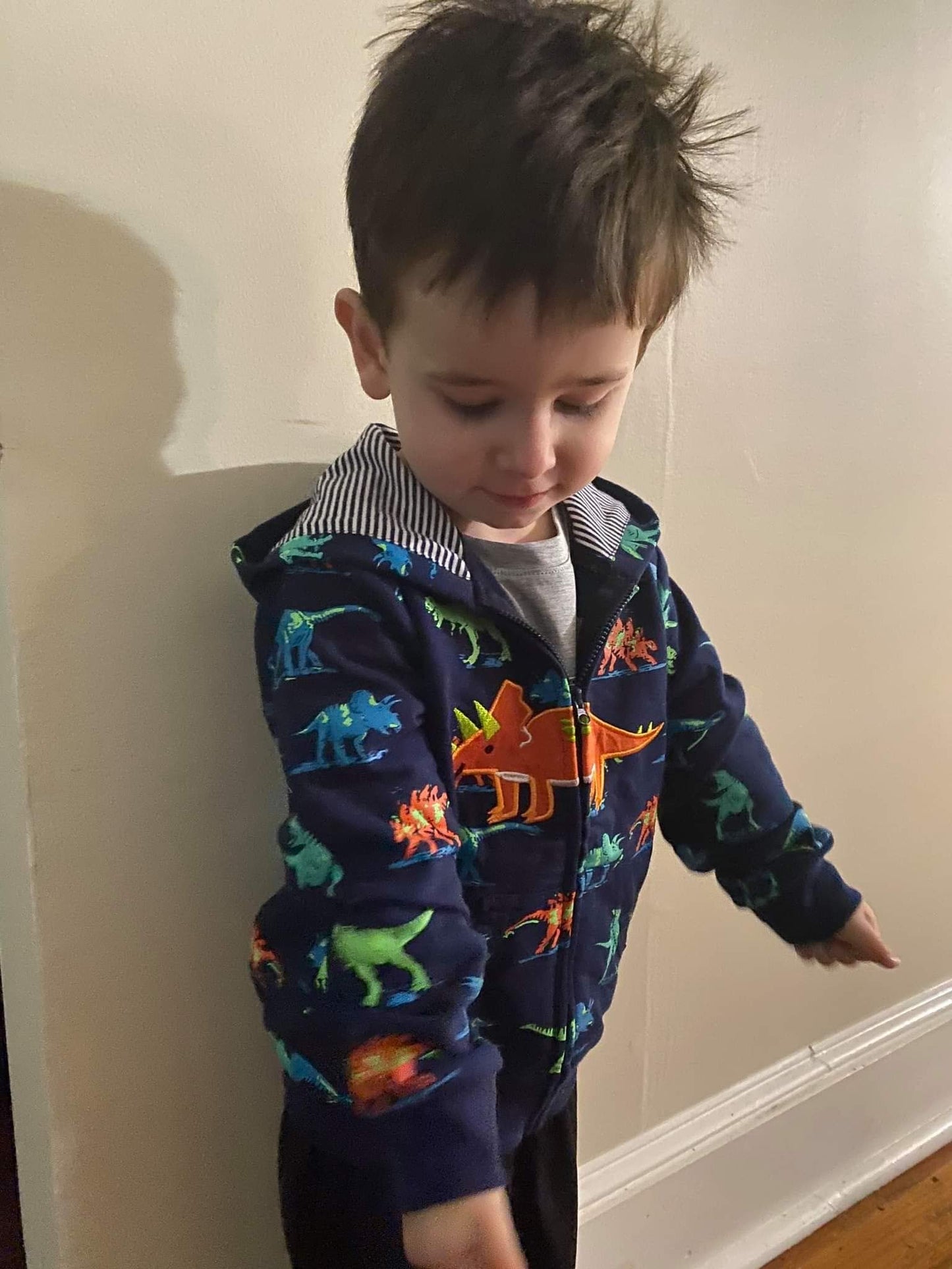 Popshion Toddler Boys' Dinosaur Hoodie Jacket