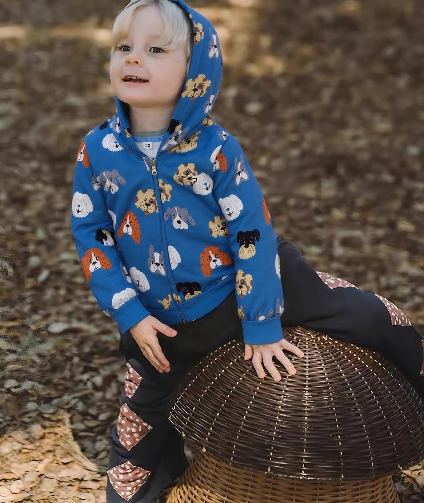 Popshion Toddler Boys' Dinosaur Hoodie Jacket
