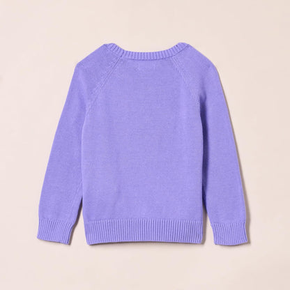 Amazon Essentials Girls' Pullover Sweater